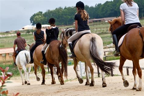 Equitation et centres equestres à Settat, Telecontact les pages .